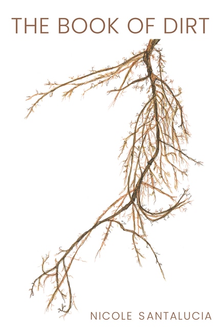 Couverture_The Book of Dirt