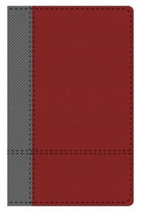 The Kjv Study Bible Student Edition--indexed (gray/maroon)