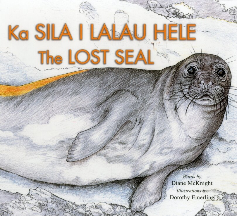 Front cover_The Lost Seal