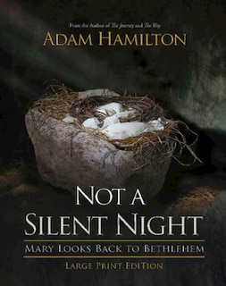 Front cover_Not a Silent Night