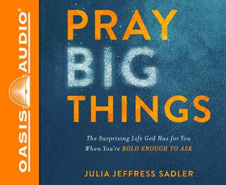 Pray Big Things (library Edition): The Surprising Life God Has For You When You're Bold Enough To Ask