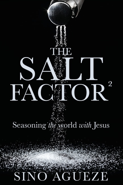 Couverture_The Salt Factor ²