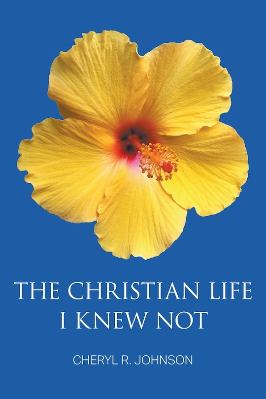 Couverture_The Christian Life I Knew Not