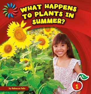 Front cover_What Happens to Plants in Summer?