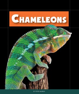 Front cover_Chameleons