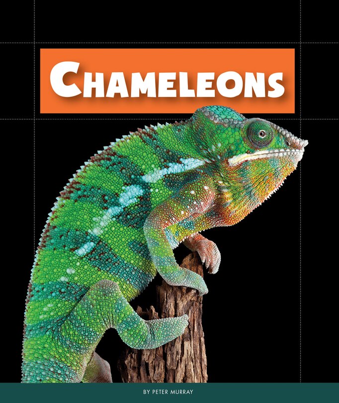 Front cover_Chameleons