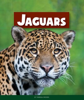 Couverture_Jaguars