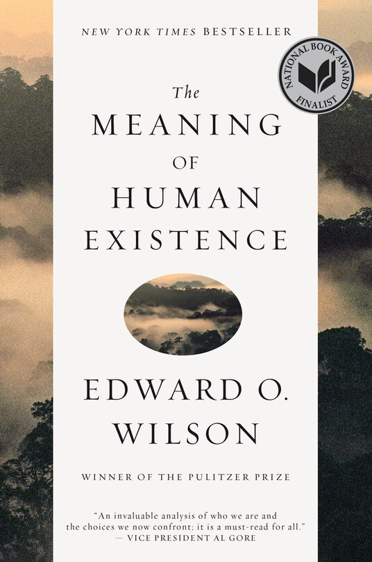 Front cover_The Meaning Of Human Existence