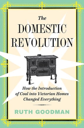 DOMESTIC REVOLUTION