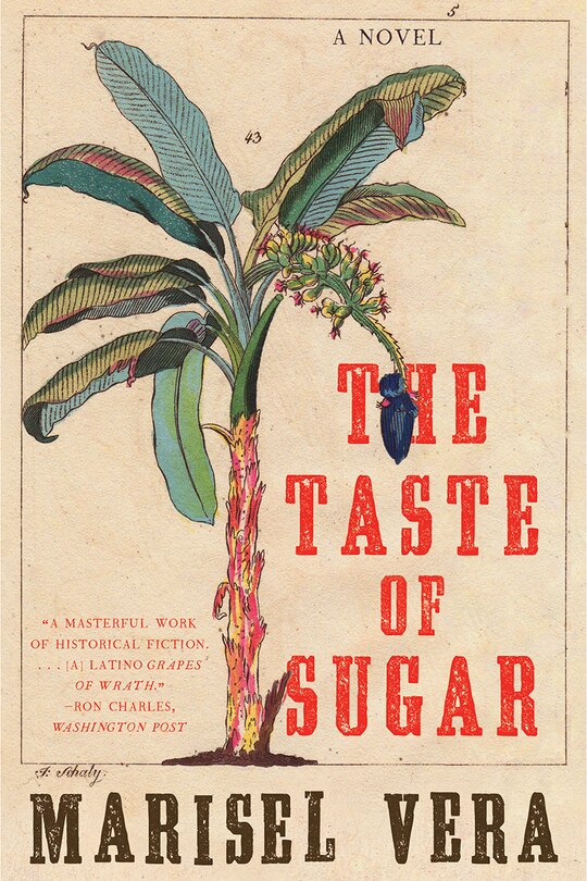 Couverture_The Taste Of Sugar