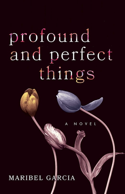 Front cover_Profound And Perfect Things