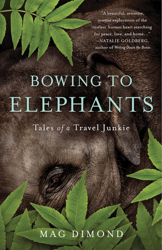 Front cover_Bowing To Elephants