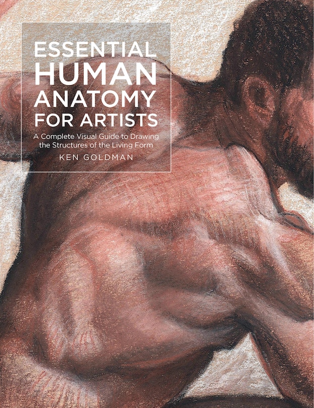 Couverture_Essential Human Anatomy for Artists