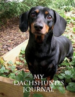 My Dachshund's Journal: Building Memories One Day at a Time