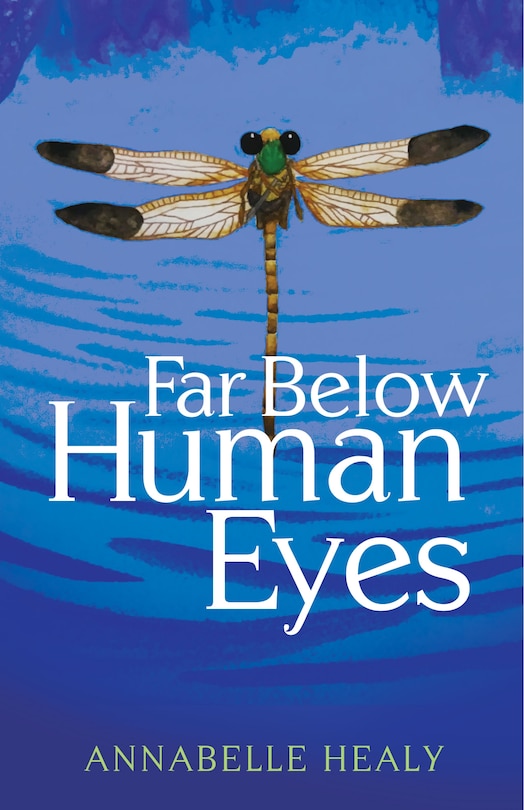 Front cover_Far Below Human Eyes