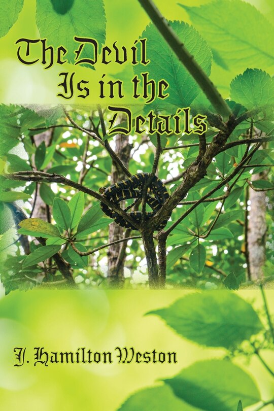 Couverture_The Devil Is in the Details