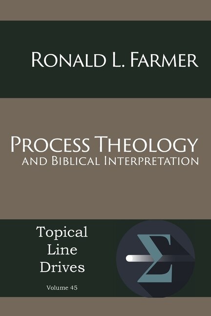 Front cover_Process Theology and Biblical Interpretation