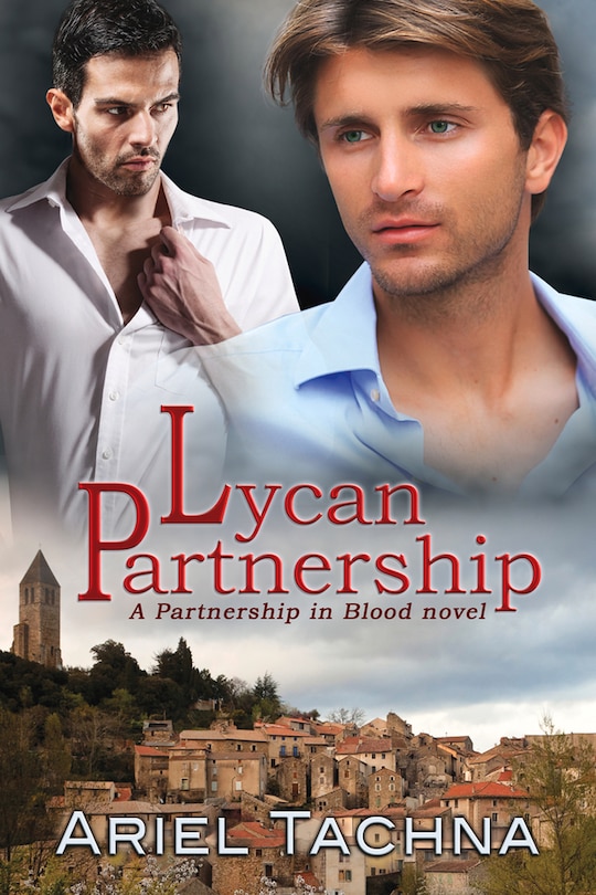 Front cover_Lycan Partnership