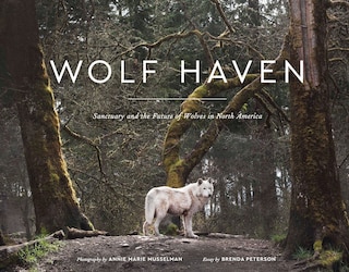 Wolf Haven: Sanctuary And The Future Of Wolves In North America