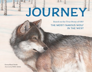 Couverture_Journey