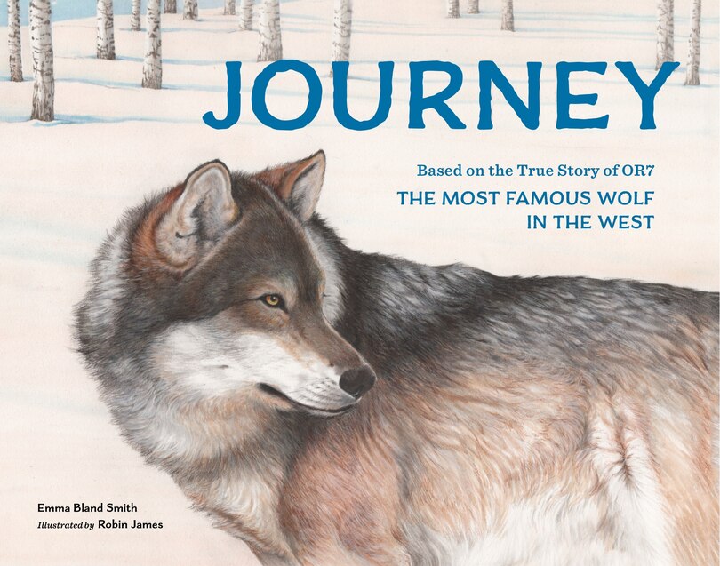 Couverture_Journey