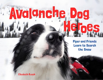 Avalanche Dog Heroes: Piper And Friends Learn To Search The Snow