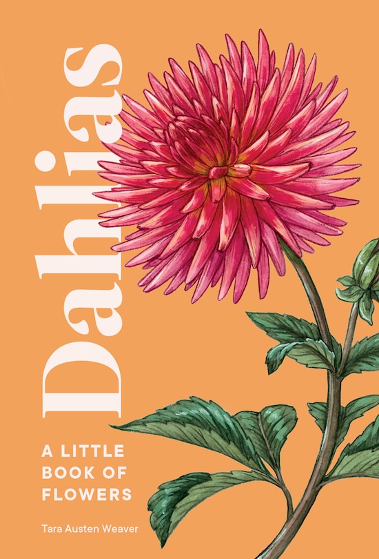 Couverture_Dahlias