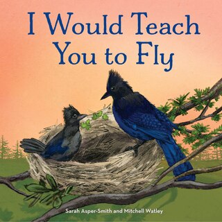 Front cover_I Would Teach You To Fly