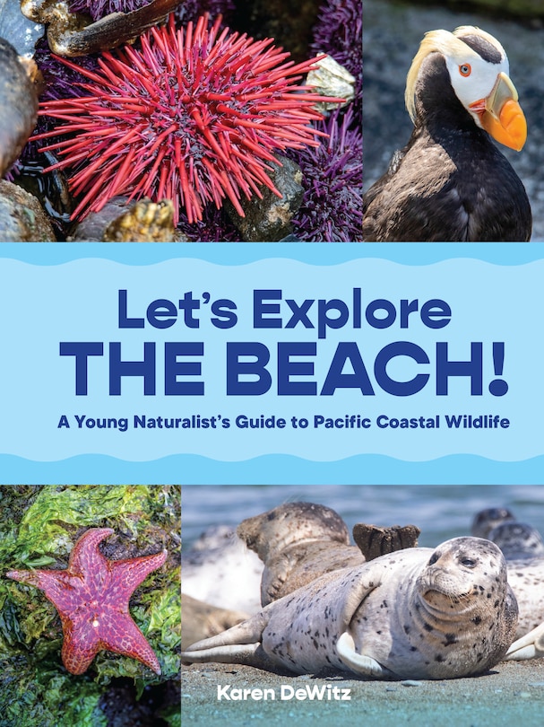 Front cover_Let’s Explore the Beach!