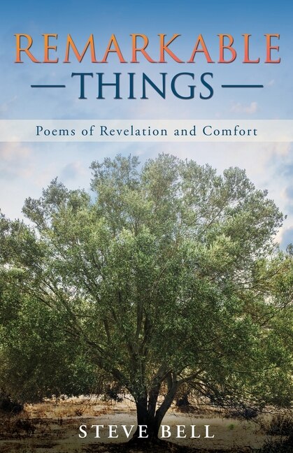 Front cover_Remarkable Things