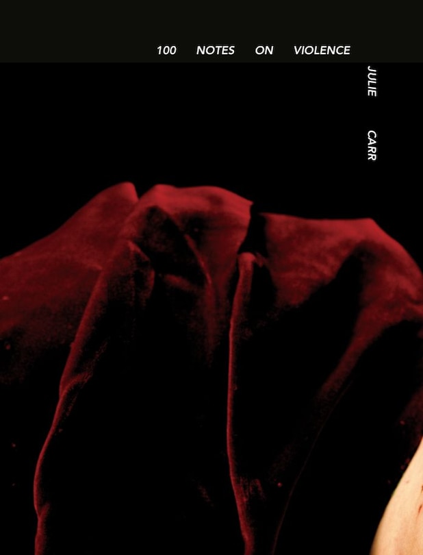 Couverture_100 Notes On Violence