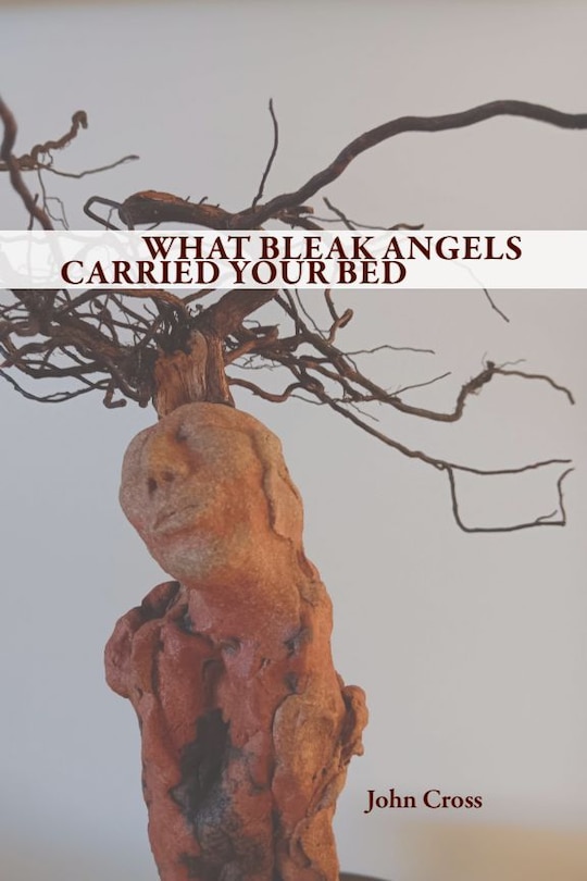 Front cover_WHAT BLEAK ANGELS CARRIED YOUR BED