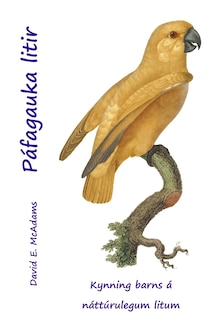 Couverture_Páfagauka litir