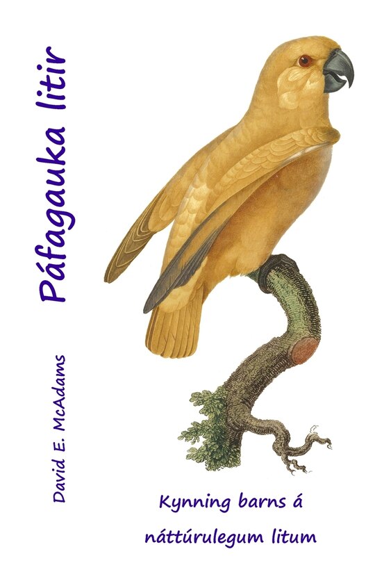 Couverture_Páfagauka litir