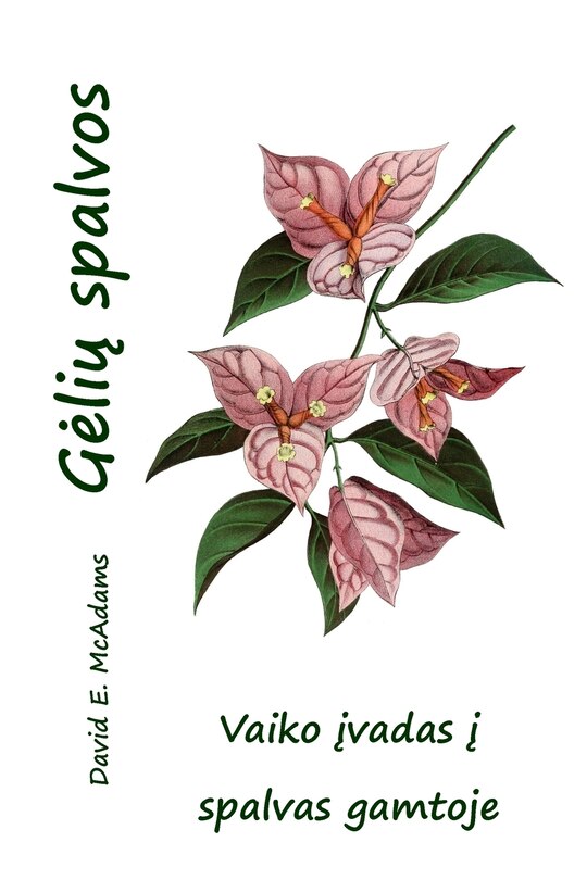 Front cover_Gelių spalvos