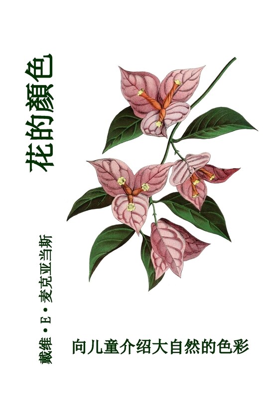 Couverture_花的顏色