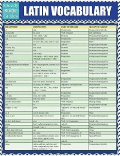 Latin Vocabulary: Quick Study Reference Guide