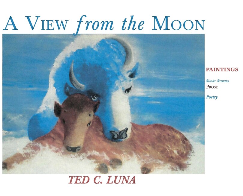 Front cover_A View from the Moon (Hardcover)
