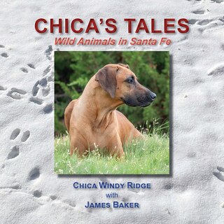 Front cover_Chica's Tales, Wild Animals in Santa Fe