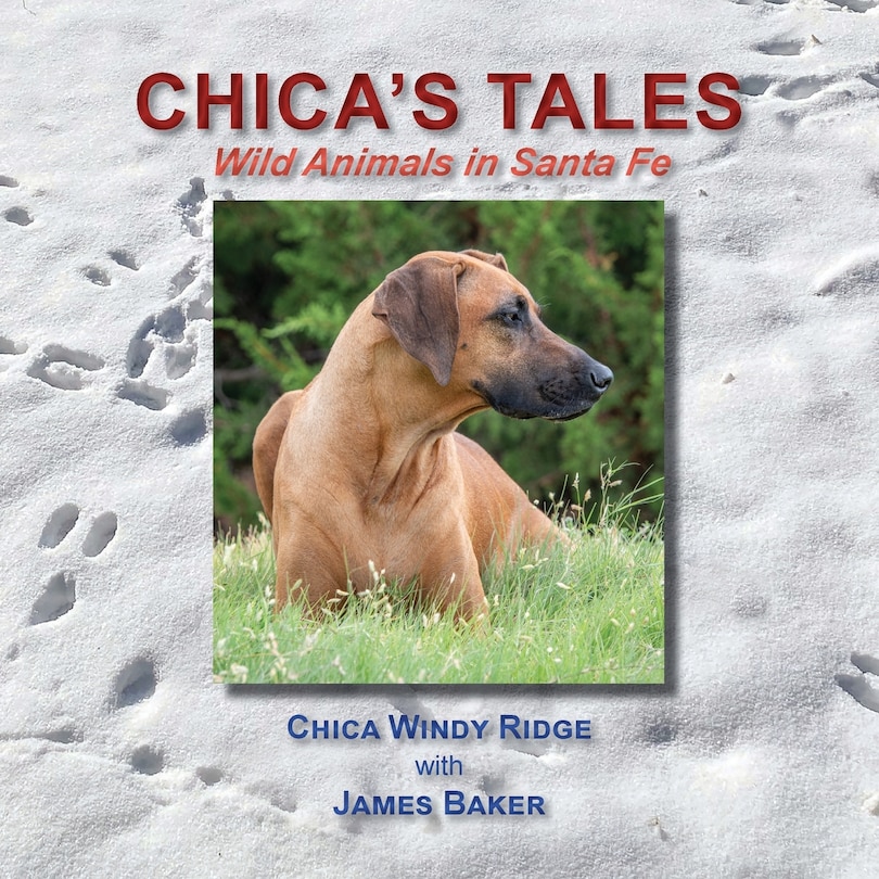 Front cover_Chica's Tales, Wild Animals in Santa Fe