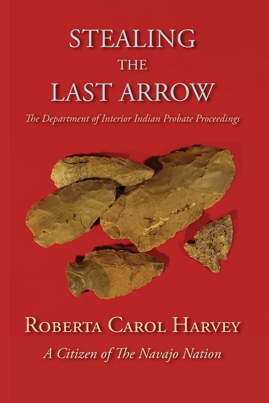 Couverture_Stealing the Last Arrow