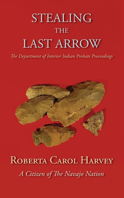 Couverture_Stealing the Last Arrow