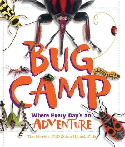 Bug Camp: Where Every Day's An Adventure