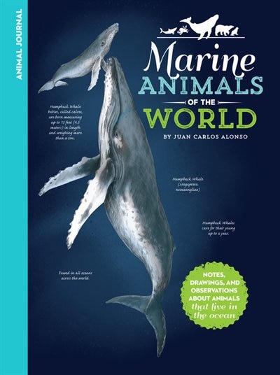 Couverture_ANIMAL JOURNAL MARINE ANIMALS OF THE WOR