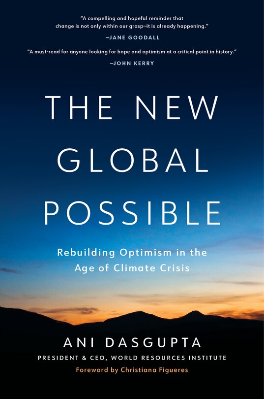 Couverture_The New Global Possible