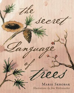 Front cover_The Secret Language Of Trees