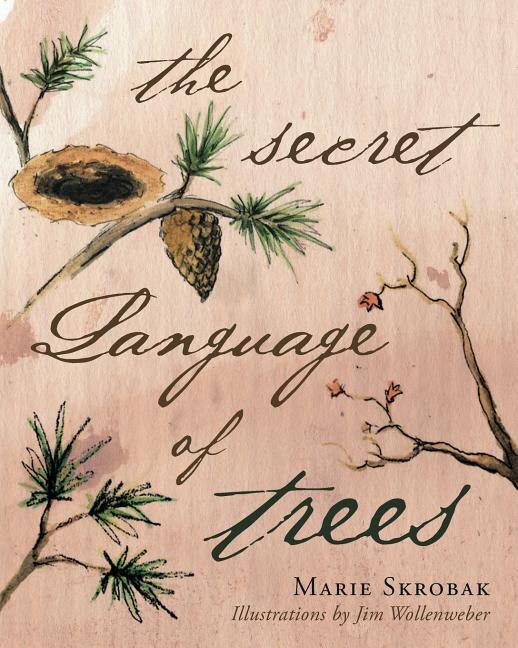 Front cover_The Secret Language Of Trees