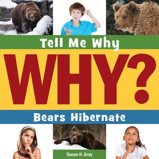 Couverture_Bears Hibernate