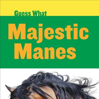 Front cover_Majestic Manes