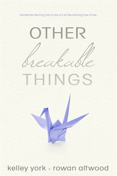 Couverture_Other Breakable Things